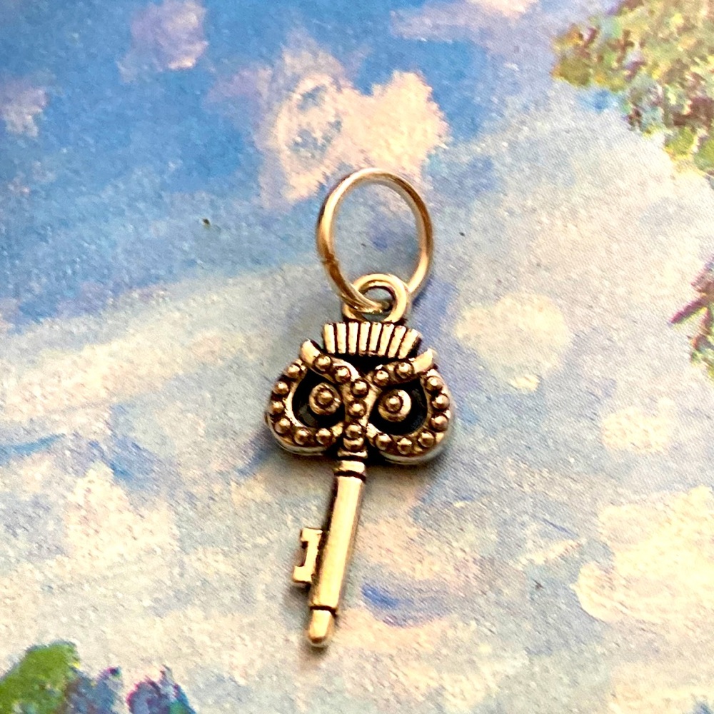 5/$10❤️❤️❤️NEW Tibetan Silver OWL Key Charm